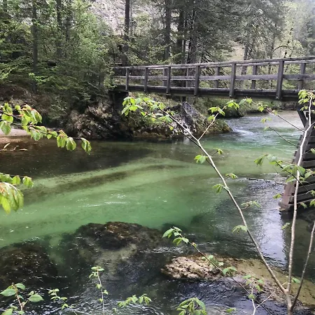 Weichselboden, Alte Schule *