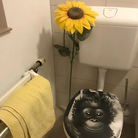 Weichselboden, Alte Schule * Weichselboden