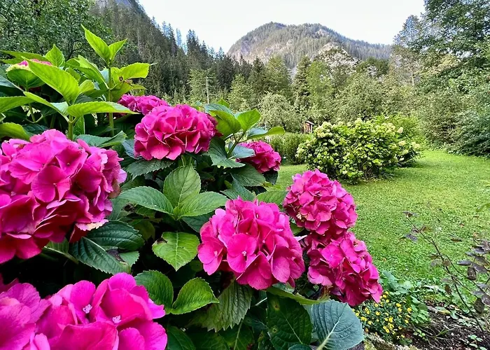 Weichselboden, Alte Schule Apartment *