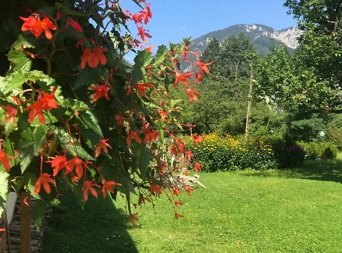Weichselboden, Alte Schule Apartment